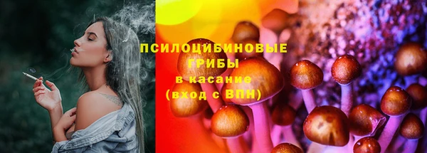 2c-b Инсар