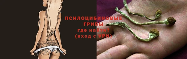 2c-b Инсар