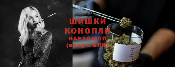 2c-b Инсар